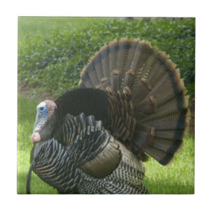 Wild Turkey Tile Tegeltje