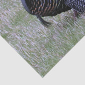 Wild Turkey Tissuepapier (Detail)