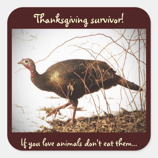 Wild Turkey Vegetarian Sticker (Voorkant)
