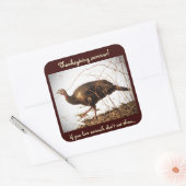 Wild Turkey Vegetarian Sticker (Envelop)