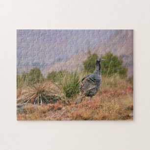 Wild Turkije Big Bird Desert Natuur Puzzel