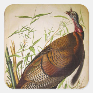 Wild Turkije, John James Audubon Vierkante Sticker