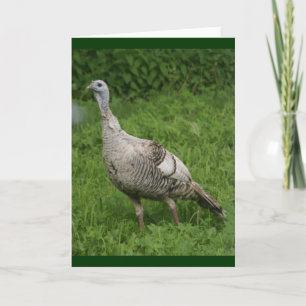 Wild Turkije-kaart Kaart