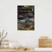 Wild Turkije passeert stroom Poster (Keuken)