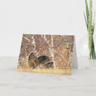 Wild Turkije Tom Note Card Kaart
