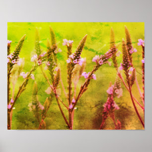 Wild Vervain Flowers Multiplied Floral Art Poster