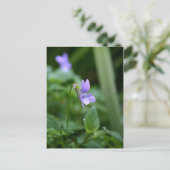 Wild Violet 1 Briefkaart (Staand voorkant)