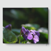 Wild Violets Floral Photo Memorial Livre d'invité (Verso)