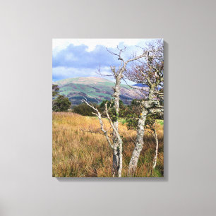 WILD WALES CANVAS AFDRUK