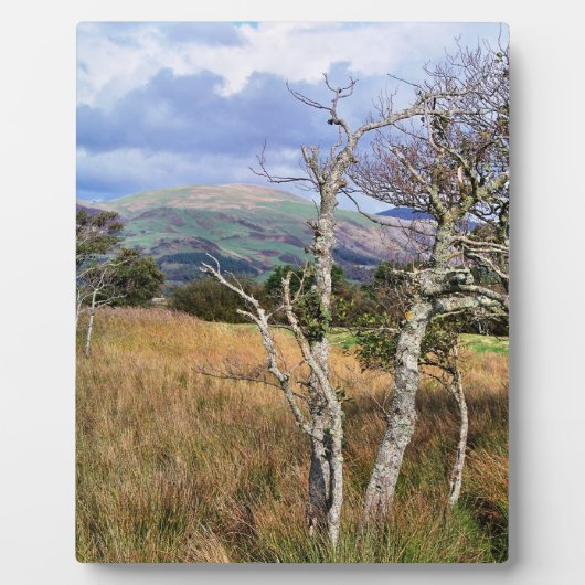 WILD WALES FOTOPLAAT (Voorkant)