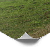 Wild water poster (Hoek)