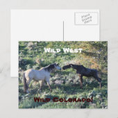 Wild West Colorado Funny Briefkaart (Voorkant / Achterkant)