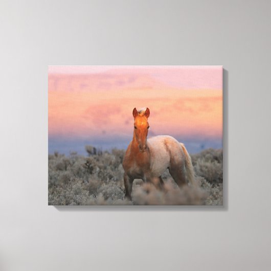 Wild West Colt Canvas Afdruk (Voorkant)