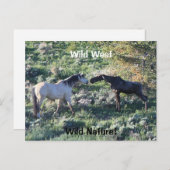 Wild West Wild Natuur Funny Horse and Moose Briefkaart (Voorkant / Achterkant)