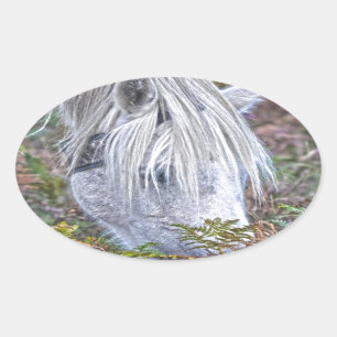 Wild White New Forest Pony Grazing op Bracken Ovale Sticker