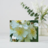 Wild White Rambling Rozen Flowers Briefkaart (Staand voorkant)