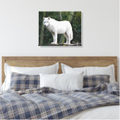 Wild White Wolf Canvas Afdruk (Insitu (Slaapkamer))
