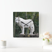 Wild White Wolf Vierkante Klok (Huis)