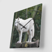 Wild White Wolf Vierkante Klok (Hoek)