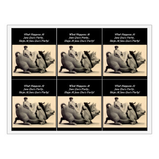 Wild Wine Ride The Pig Girls Night Out Wijnlabels Wijn Etiket