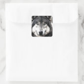 Wild Wolf Artwork Square Sticker (Tas)