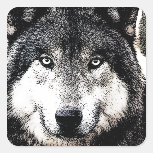 Wild Wolf Artwork Square Sticker (Voorkant)