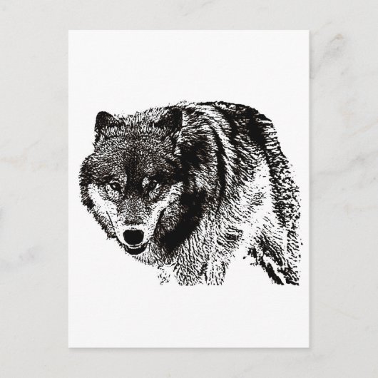 Wild Wolf Briefkaart (Voorkant)