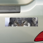 Wild Wolf Bumpersticker (Op auto)