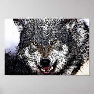 Wild Wolf Eyes Artwork Poster Print