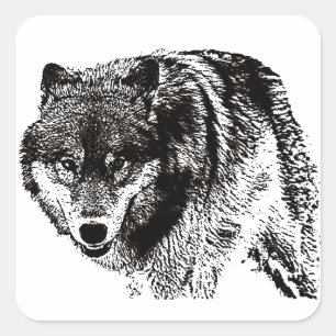 Wild Wolf Vierkante Sticker