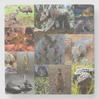 Wild Wonders: fascinerende Australische fotocollag