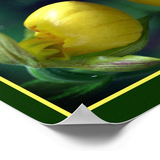 Wild Yellow Lady Slipper Orchidee Flower Abstract Poster (Hoek)