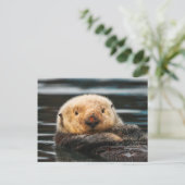Wild Zee Otter Portret Briefkaart (Staand voorkant)