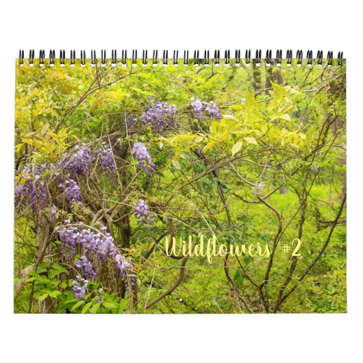 Wildbloemen #2 Kalender (Hoes)