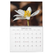 Wildbloemen #2 Kalender (Feb 2026)