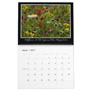 Wildbloemen Agenda 2017 van Thomas Minutolo Kalender