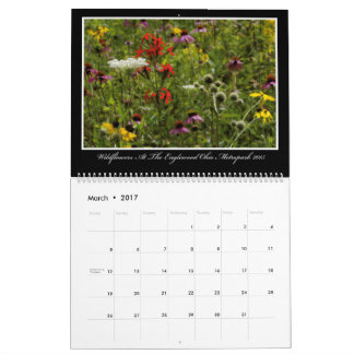 Wildbloemen Agenda 2017 van Thomas Minutolo Kalender