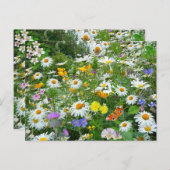 Wildbloemen Briefkaart (Voorkant / Achterkant)