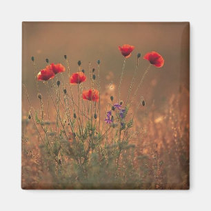 wildbloemen magneet