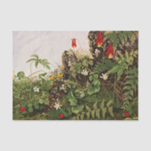 Wildbloemen nr. 1 van Ellen Robbins