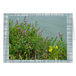 Wildbloemen op het Groene Lane Reservoir