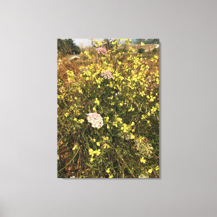 Wildbloemen op Kaapse Blanco, oregon Coast Canvas Afdruk