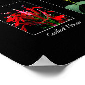 Wildbloemen poster (Hoek)