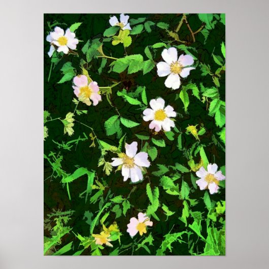 WILDBLOEMEN POSTER (Voorkant)