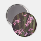Wildbloemen: Ragged Robin Magneet (Voorkant / Achterkant)