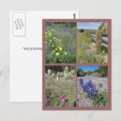 Wildbloemen uit Texas Briefkaart (Voorkant / Achterkant)