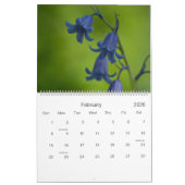 Wildbloemen van de Europese kalender 2010 (Feb 2026)