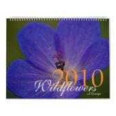 Wildbloemen van de Europese kalender 2010 (Hoes)