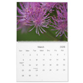 Wildbloemen van de Europese kalender 2010 (Mar 2026)