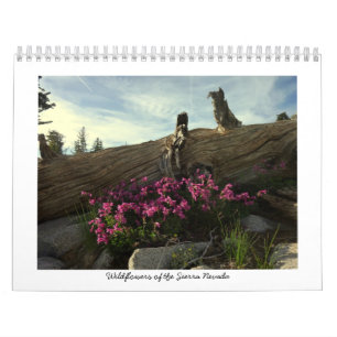 Wildbloemen van de Sierra Nevada Kalender